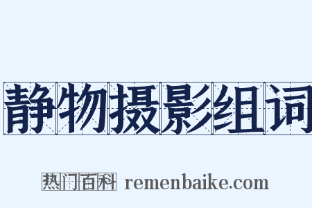 静物摄影组词是什么意思的图片